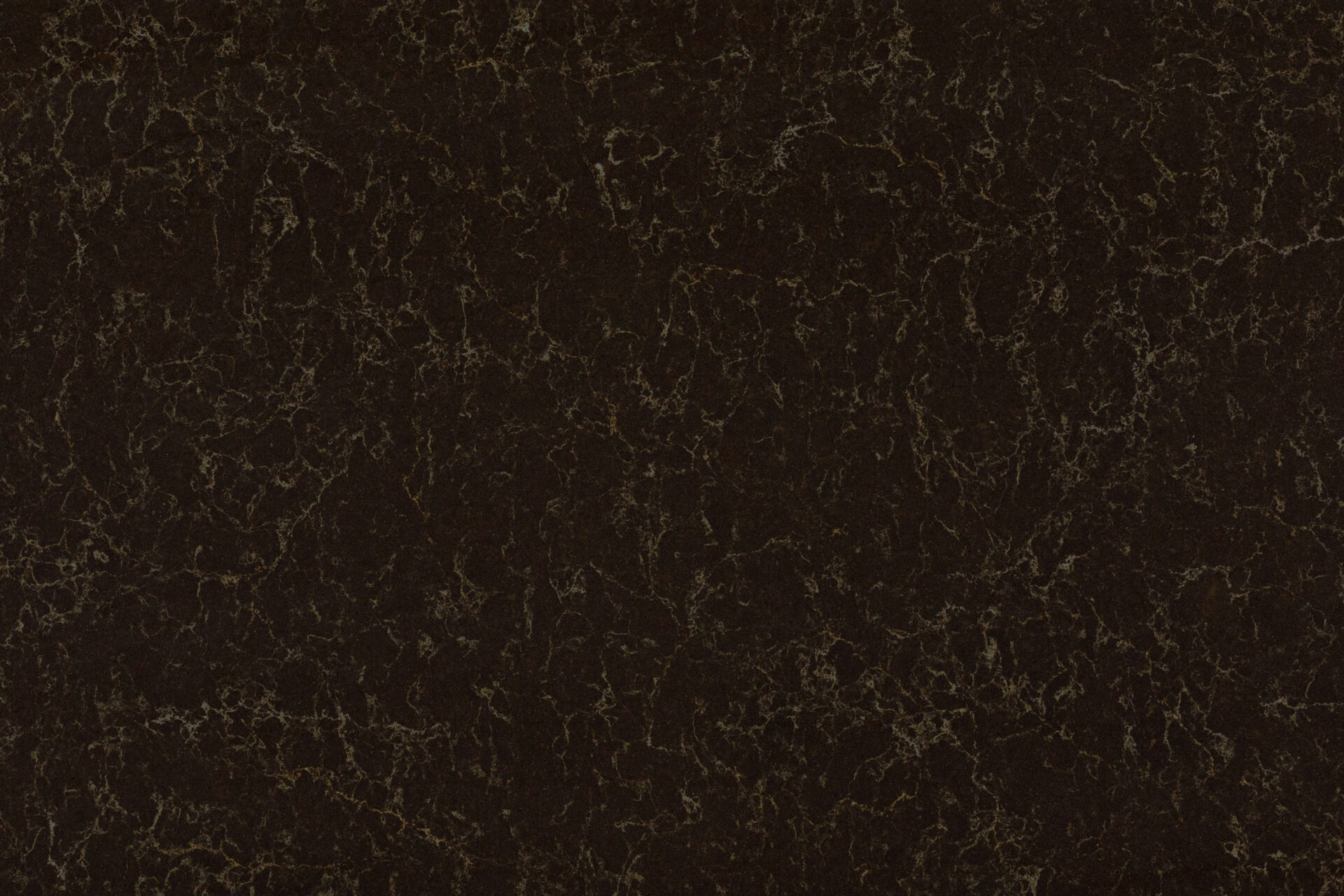 6338 Woodlands